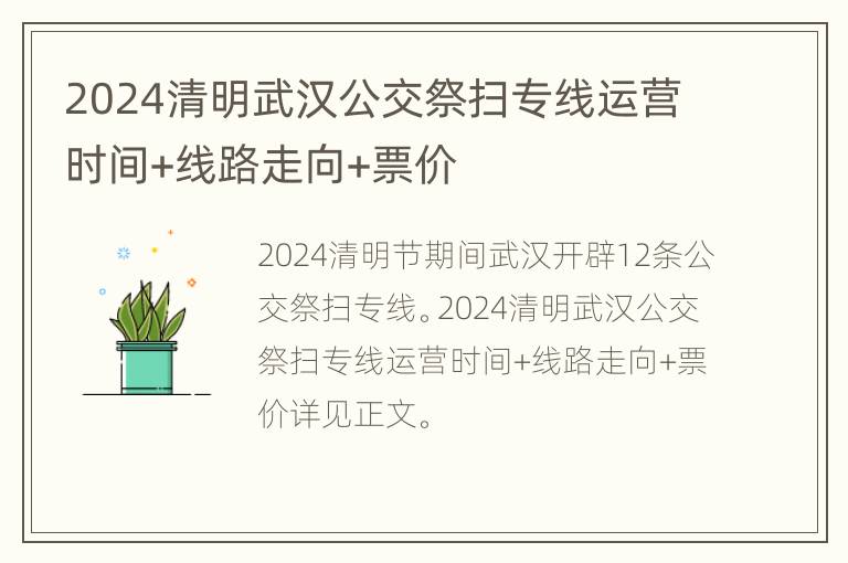 2024清明武汉公交祭扫专线运营时间+线路走向+票价