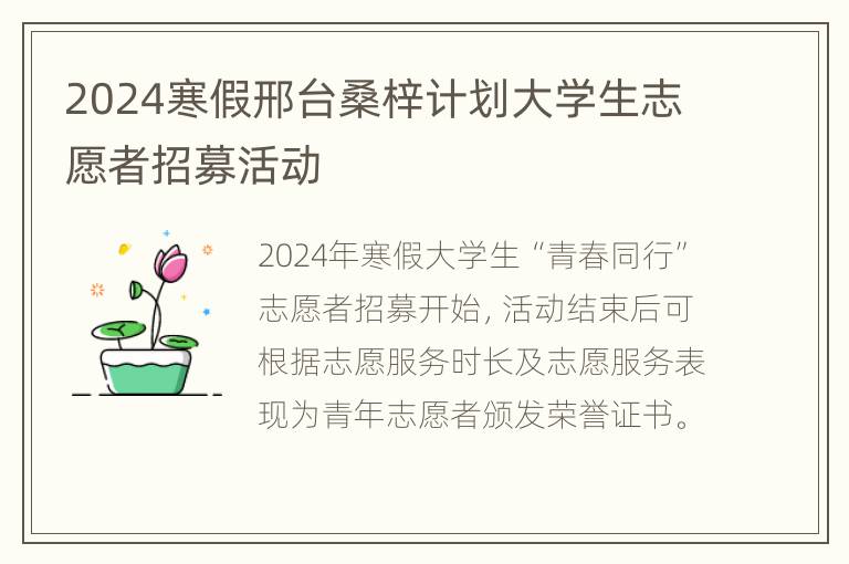 2024寒假邢台桑梓计划大学生志愿者招募活动