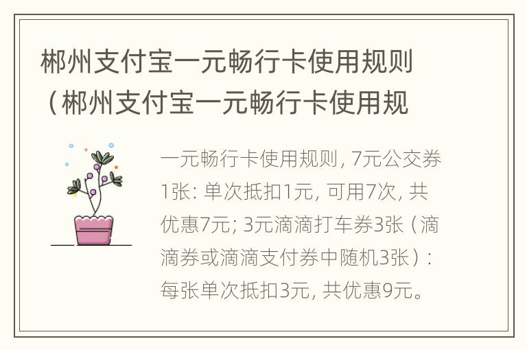 郴州支付宝一元畅行卡使用规则（郴州支付宝一元畅行卡使用规则最新）