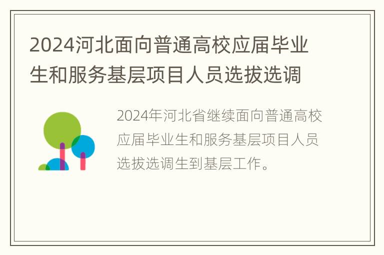 2024河北面向普通高校应届毕业生和服务基层项目人员选拔选调生公告