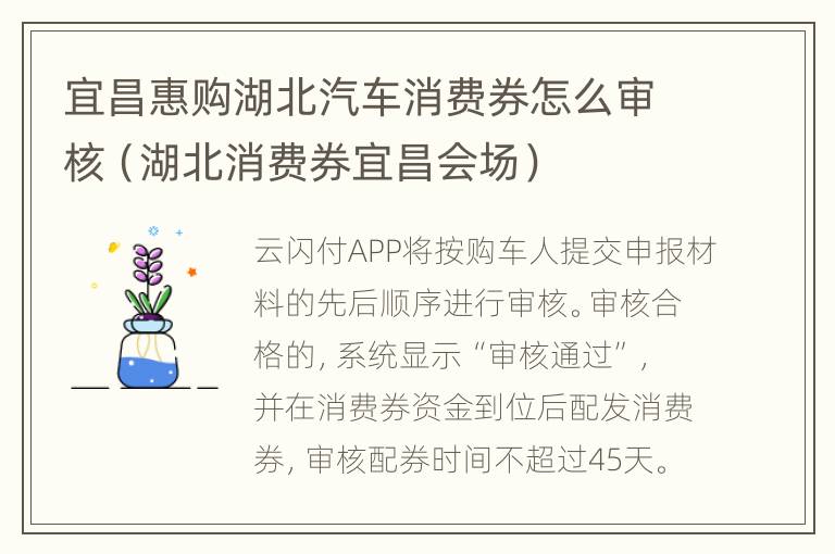 宜昌惠购湖北汽车消费券怎么审核（湖北消费券宜昌会场）