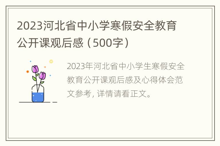 2023河北省中小学寒假安全教育公开课观后感（500字）