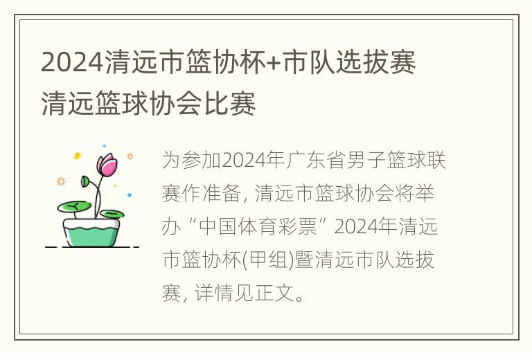 2024清远市篮协杯+市队选拔赛 清远篮球协会比赛