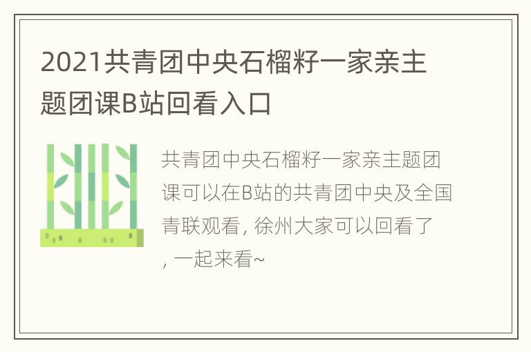 2021共青团中央石榴籽一家亲主题团课B站回看入口