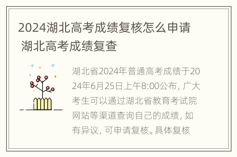 2024湖北高考成绩复核怎么申请 湖北高考成绩复查