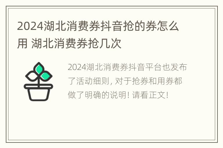 2024湖北消费券抖音抢的券怎么用 湖北消费券抢几次