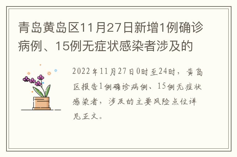 青岛黄岛区11月27日新增1例确诊病例、15例无症状感染者涉及的主要风险点位