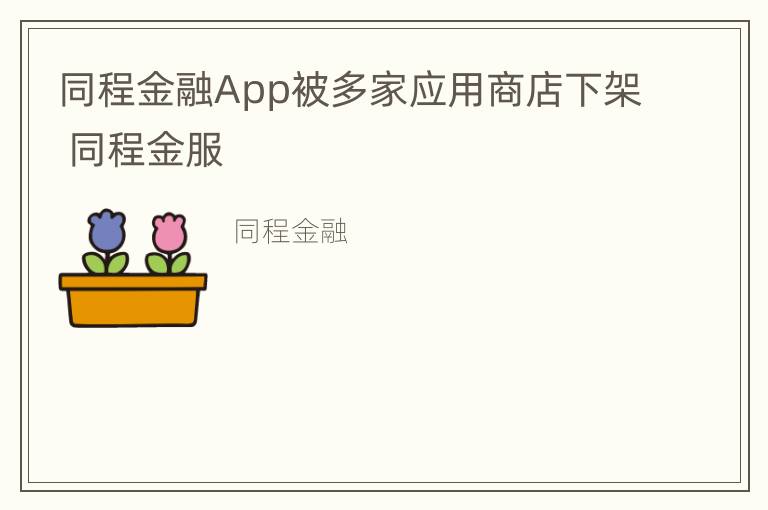 同程金融App被多家应用商店下架 同程金服