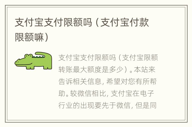 支付宝支付限额吗（支付宝付款限额嘛）