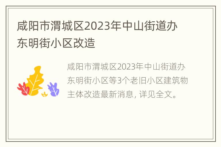 咸阳市渭城区2023年中山街道办东明街小区改造