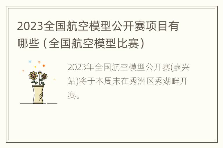 2023全国航空模型公开赛项目有哪些（全国航空模型比赛）