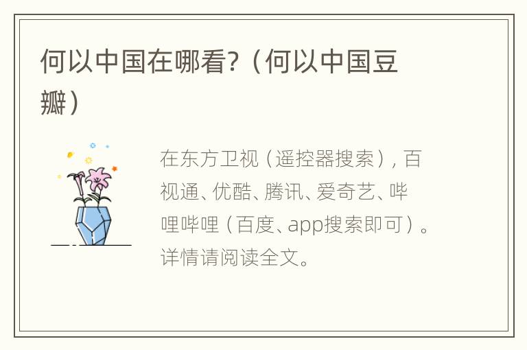 何以中国在哪看？（何以中国豆瓣）