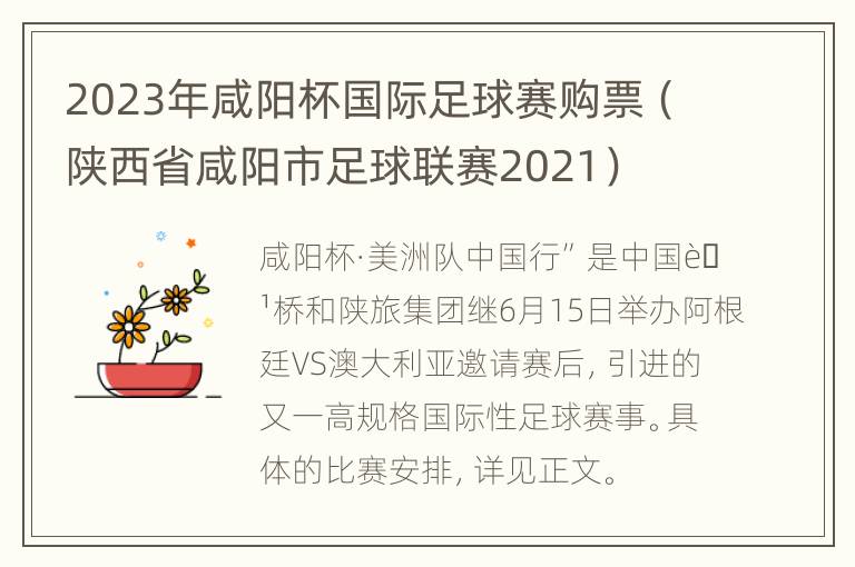 2023年咸阳杯国际足球赛购票（陕西省咸阳市足球联赛2021）