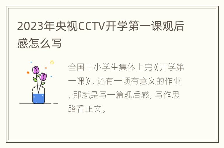 2023年央视CCTV开学第一课观后感怎么写