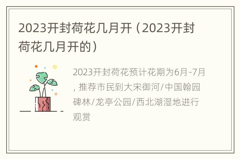 2023开封荷花几月开（2023开封荷花几月开的）