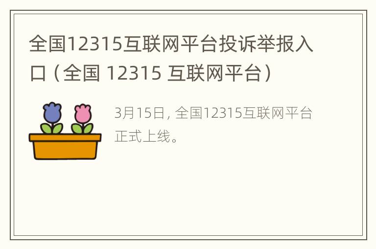 全国12315互联网平台投诉举报入口（全国 12315 互联网平台）