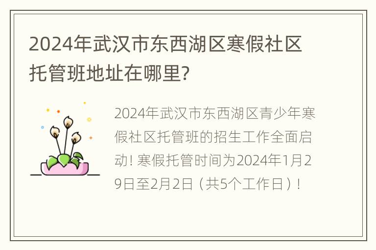 2024年武汉市东西湖区寒假社区托管班地址在哪里？