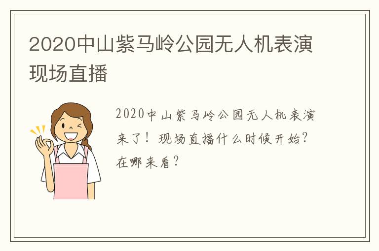 2020中山紫马岭公园无人机表演现场直播