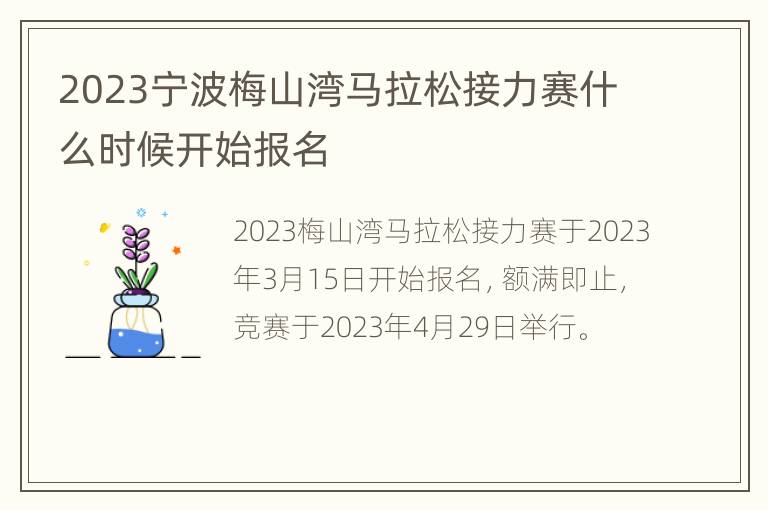 2023宁波梅山湾马拉松接力赛什么时候开始报名