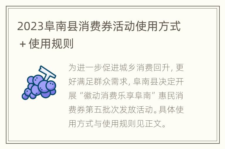 2023阜南县消费券活动使用方式＋使用规则