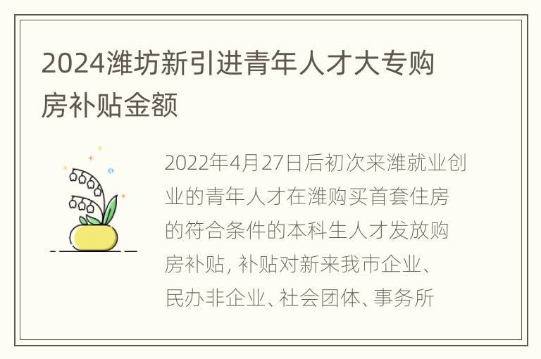 2024潍坊新引进青年人才大专购房补贴金额