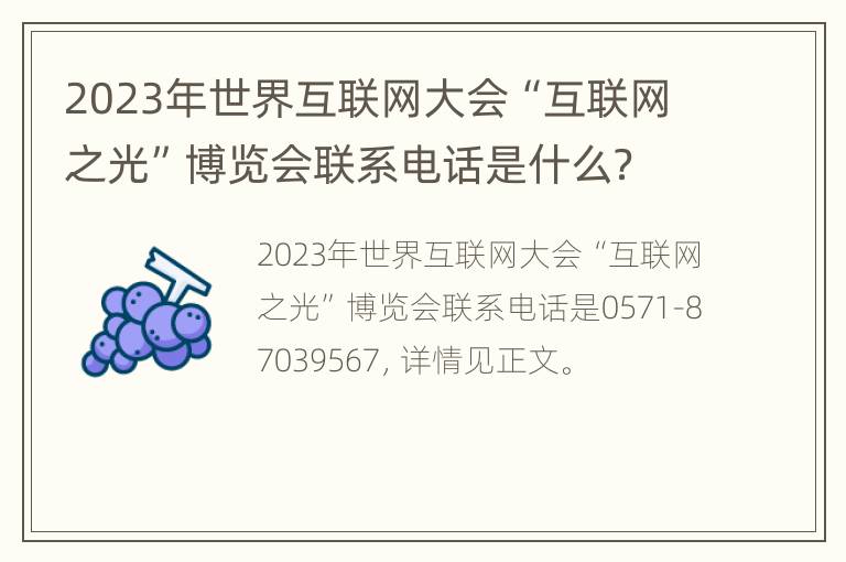 2023年世界互联网大会“互联网之光”博览会联系电话是什么？