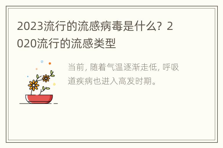 2023流行的流感病毒是什么？ 2020流行的流感类型