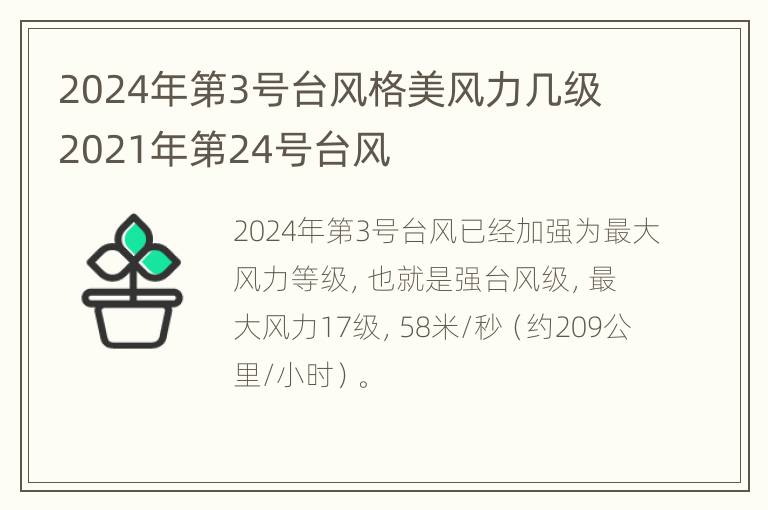 2024年第3号台风格美风力几级 2021年第24号台风