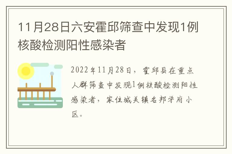 11月28日六安霍邱筛查中发现1例核酸检测阳性感染者