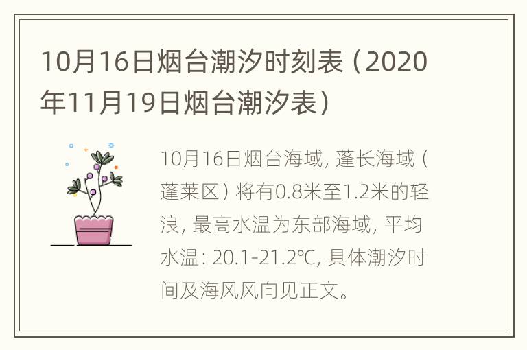 10月16日烟台潮汐时刻表（2020年11月19日烟台潮汐表）