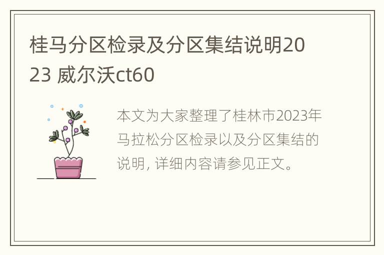 桂马分区检录及分区集结说明2023 威尔沃ct60