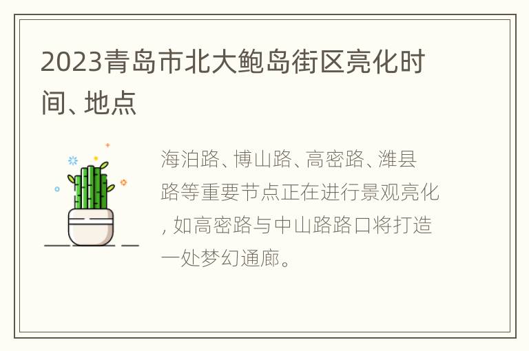 2023青岛市北大鲍岛街区亮化时间、地点