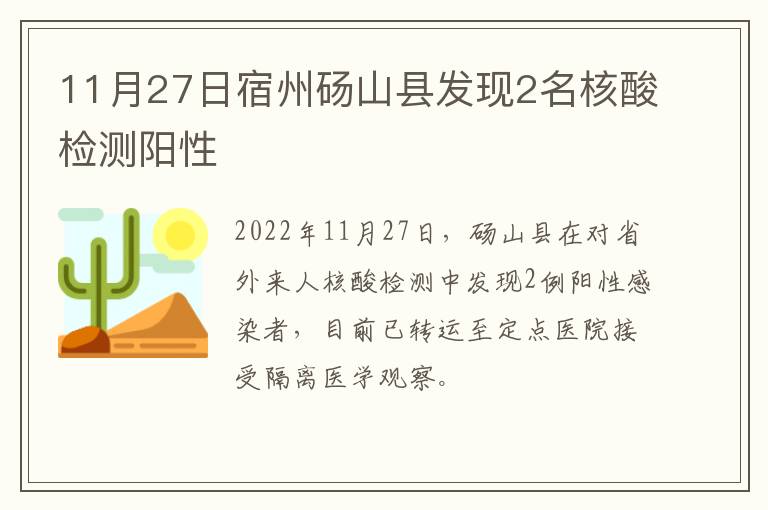 11月27日宿州砀山县发现2名核酸检测阳性