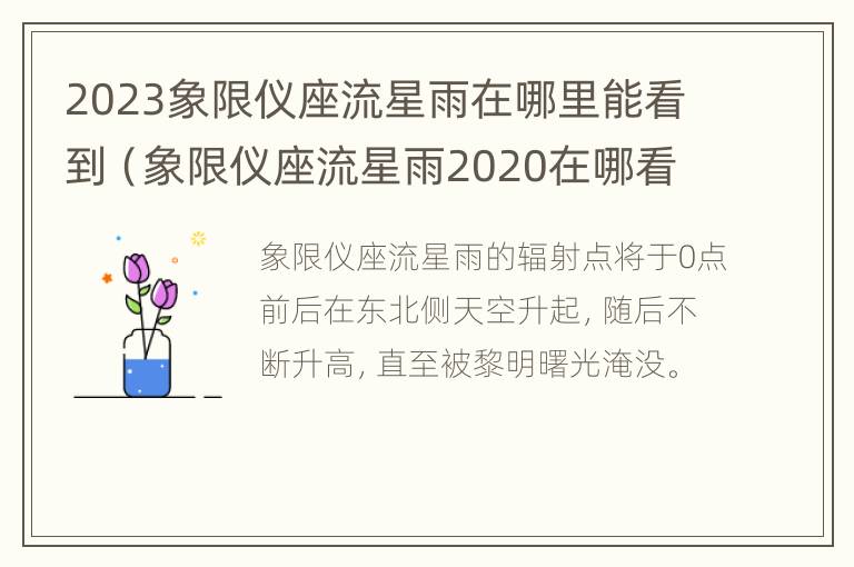 2023象限仪座流星雨在哪里能看到（象限仪座流星雨2020在哪看）