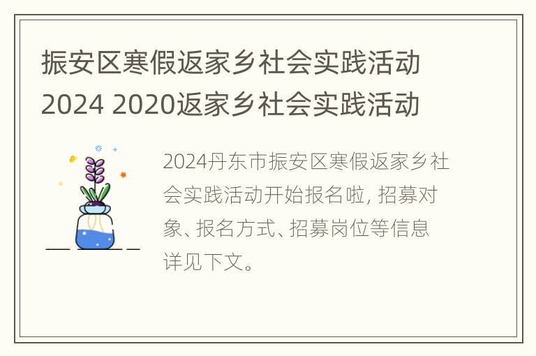 振安区寒假返家乡社会实践活动2024 2020返家乡社会实践活动