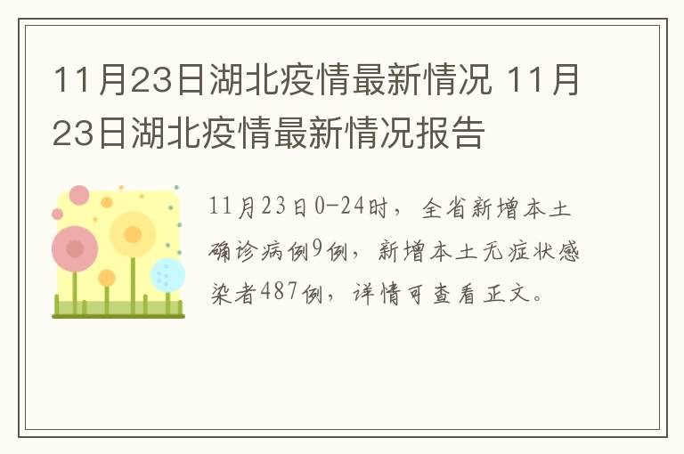 11月23日湖北疫情最新情况 11月23日湖北疫情最新情况报告