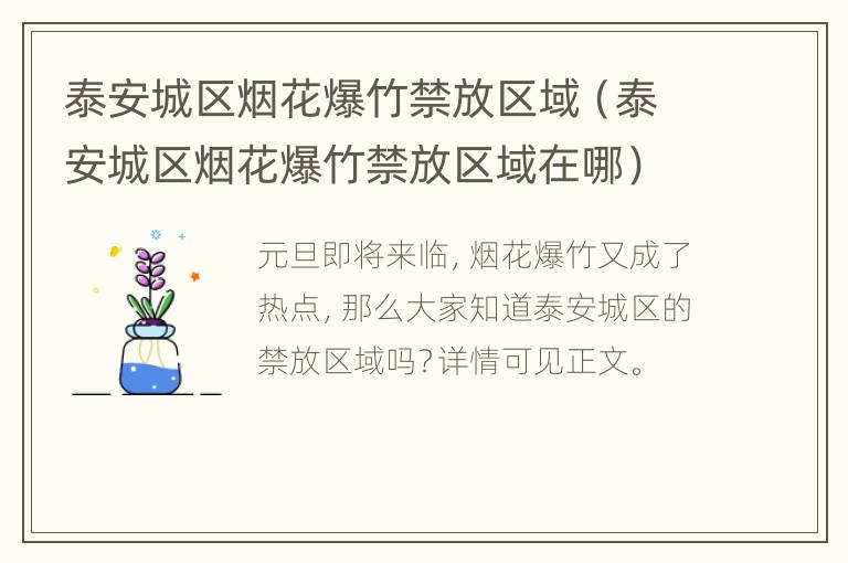 泰安城区烟花爆竹禁放区域（泰安城区烟花爆竹禁放区域在哪）