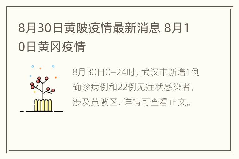 8月30日黄陂疫情最新消息 8月10日黄冈疫情