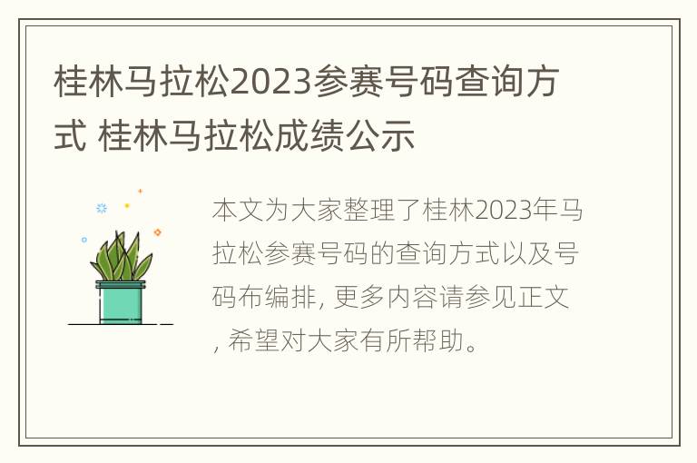 桂林马拉松2023参赛号码查询方式 桂林马拉松成绩公示