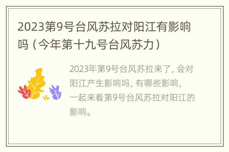 2023第9号台风苏拉对阳江有影响吗（今年第十九号台风苏力）