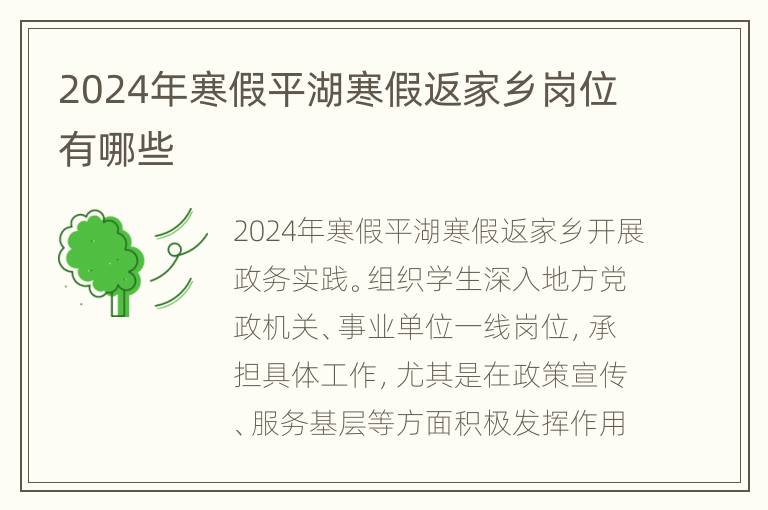 2024年寒假平湖寒假返家乡岗位有哪些