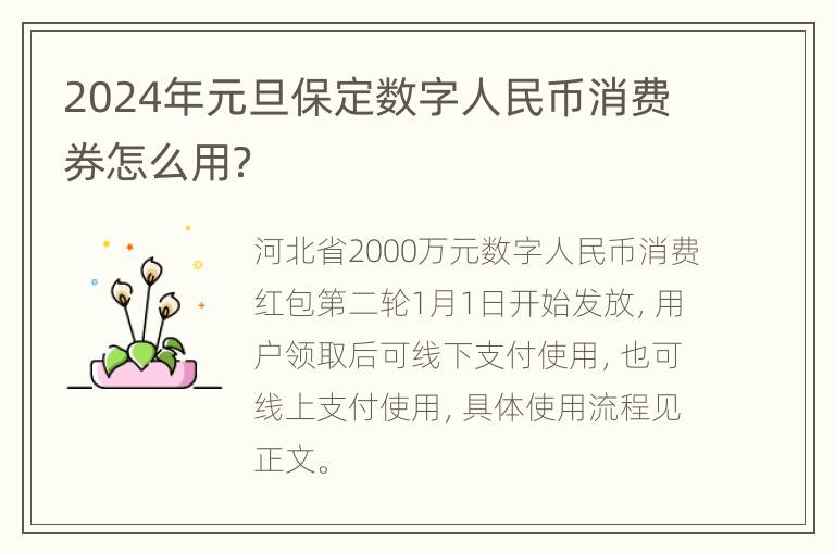 2024年元旦保定数字人民币消费券怎么用？