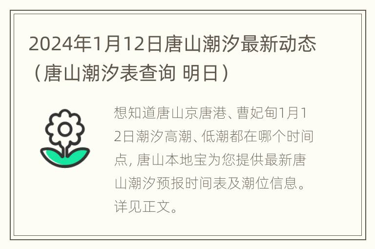 2024年1月12日唐山潮汐最新动态（唐山潮汐表查询 明日）