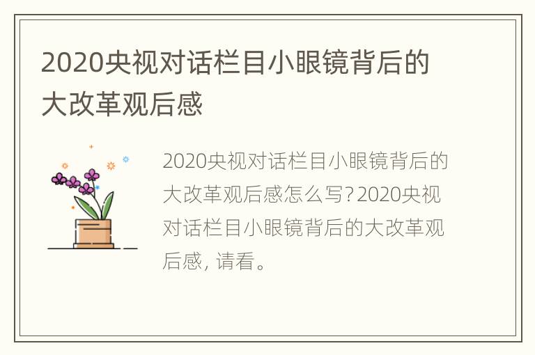 2020央视对话栏目小眼镜背后的大改革观后感