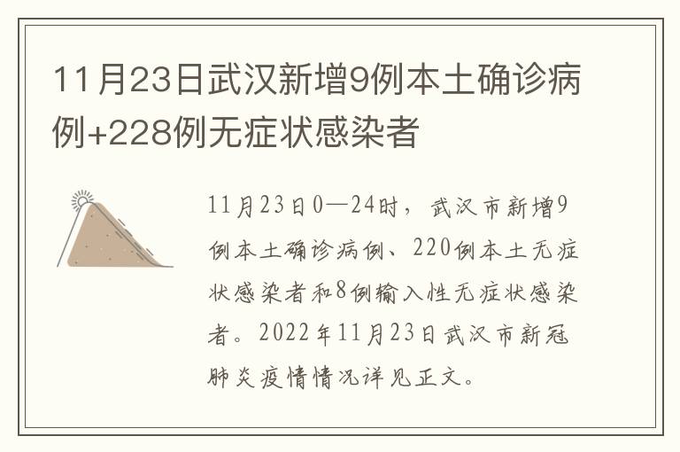 11月23日武汉新增9例本土确诊病例+228例无症状感染者