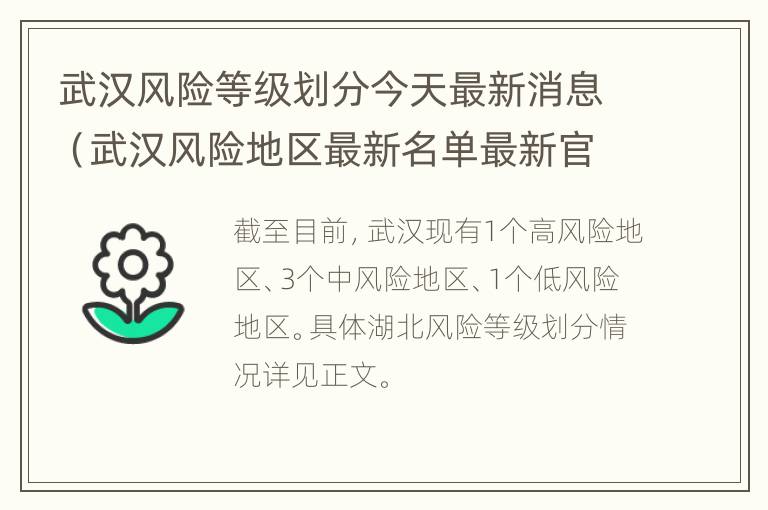 武汉风险等级划分今天最新消息（武汉风险地区最新名单最新官方）