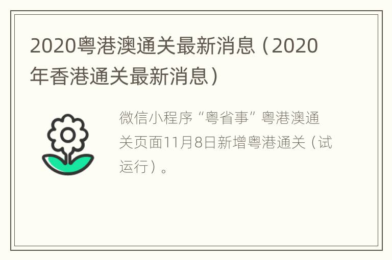 2020粤港澳通关最新消息（2020年香港通关最新消息）