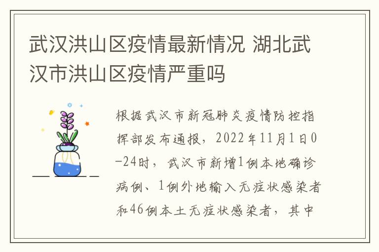 武汉洪山区疫情最新情况 湖北武汉市洪山区疫情严重吗