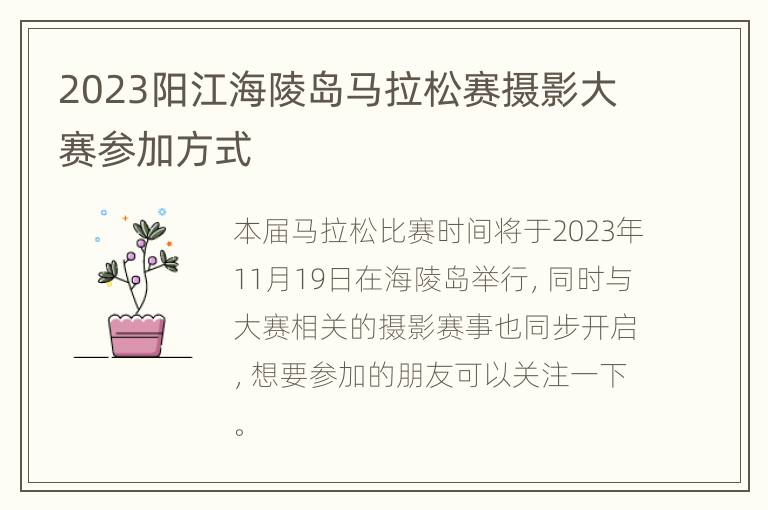 2023阳江海陵岛马拉松赛摄影大赛参加方式