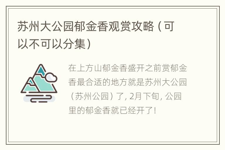 苏州大公园郁金香观赏攻略（可以不可以分集）